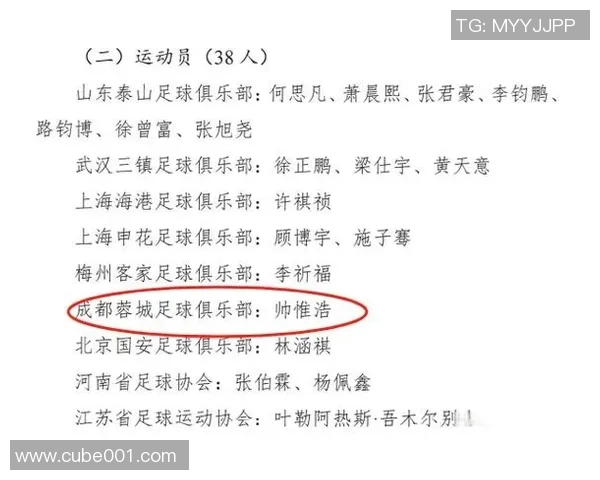 武汉足球队球员个人能力深度对比与战术分析探讨